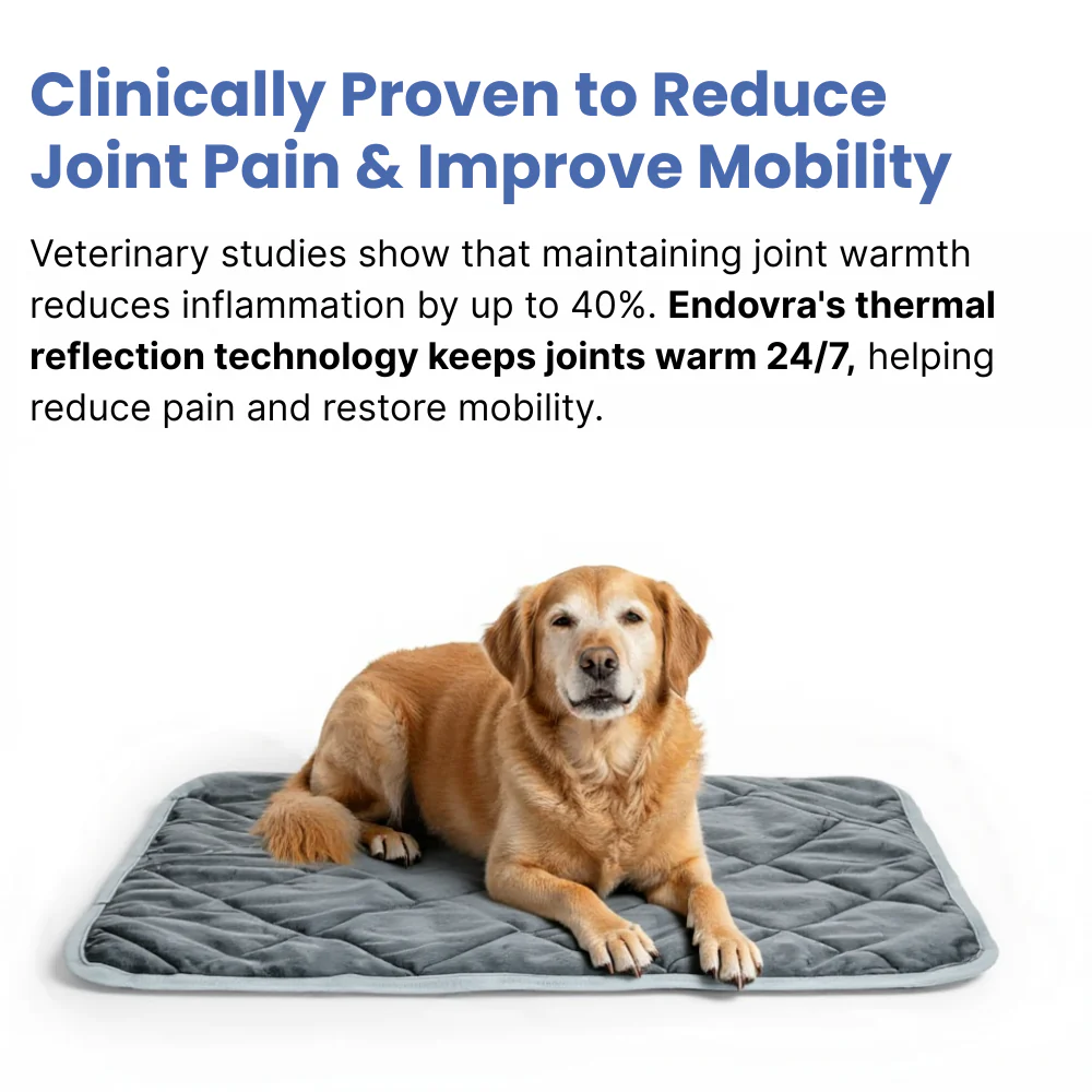 ThermoRelief Pad - RESTORE MOBILITY & COMFORT!